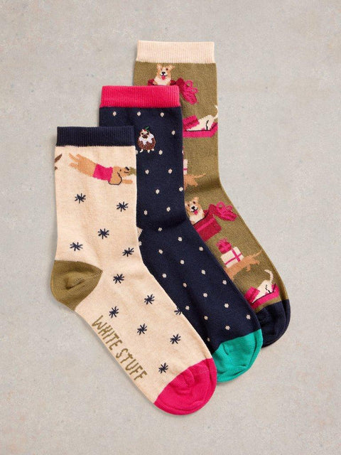 3Pk Christmas Dog Sock