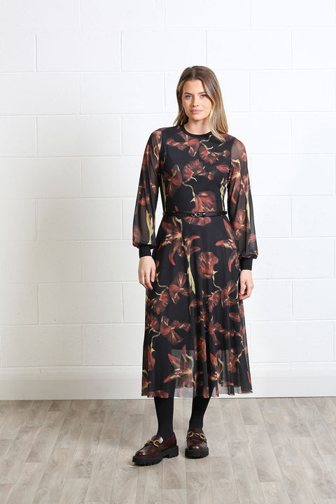Rant & Rave Lilian Dress - Black